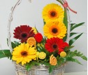Flower Baskets (7)